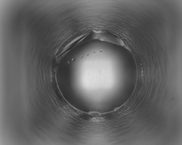 X0000061730508200512161626