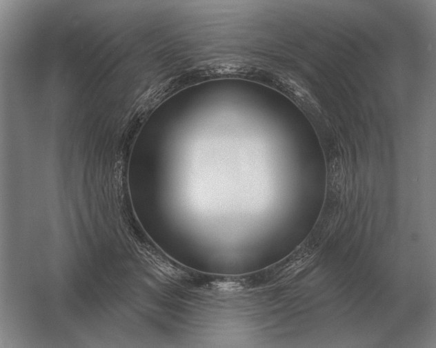 X0000061730509200512161626