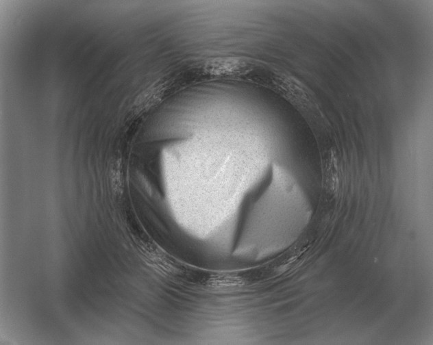 X0000061730510200512161626