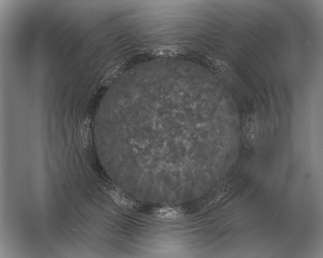 X0000061730511200512161626