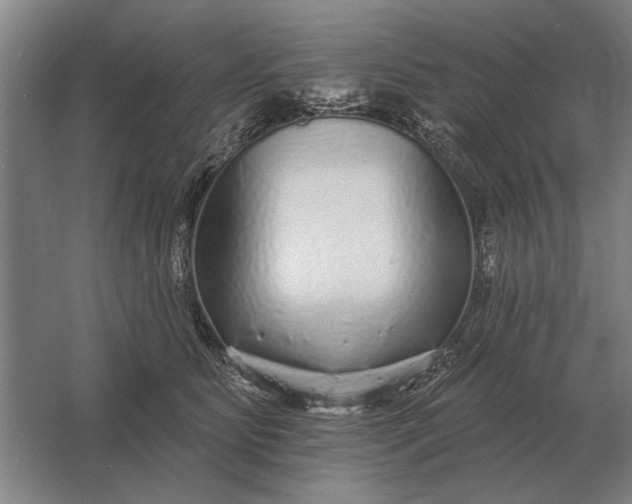 X0000061730515200512161626