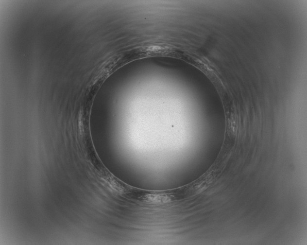 X0000061730520200512161626