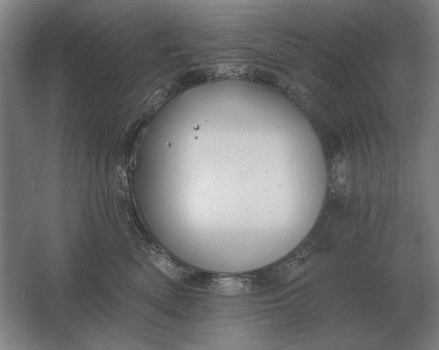 X0000061730522200512161626