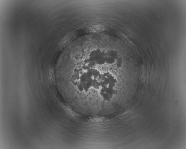 X0000061730523200512161626