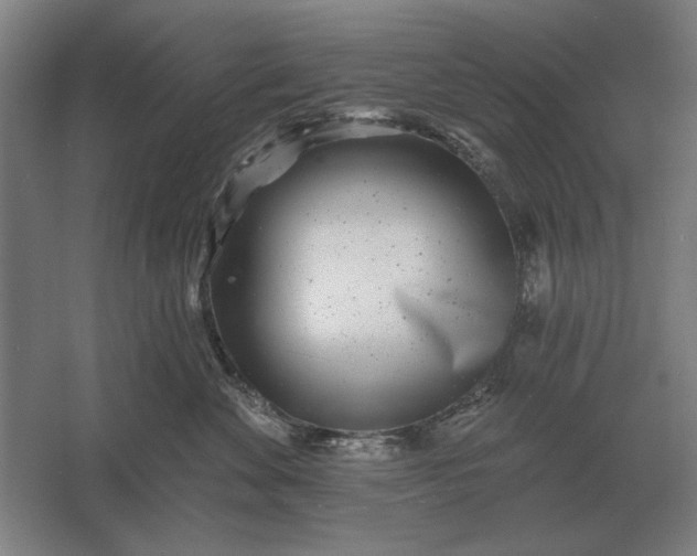 X0000061730524200512161625