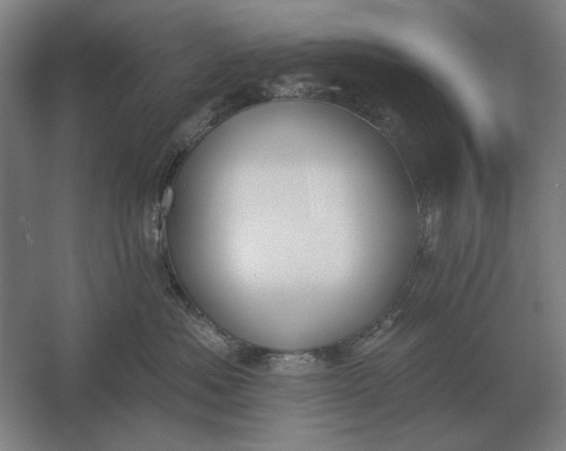 X0000061730525200512161625