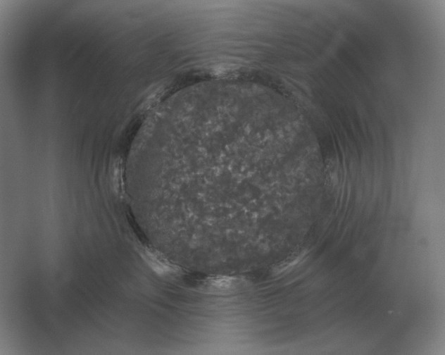 X0000061730527200512161625