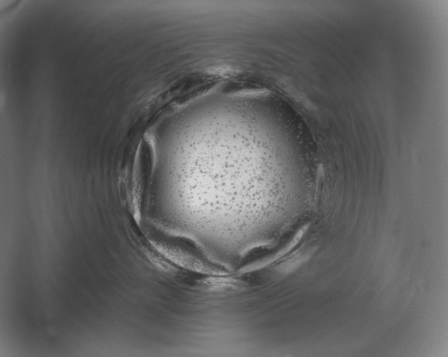 X0000061730528200512161625