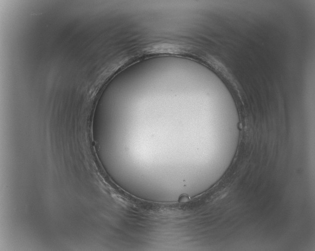 X0000061730529200512161625