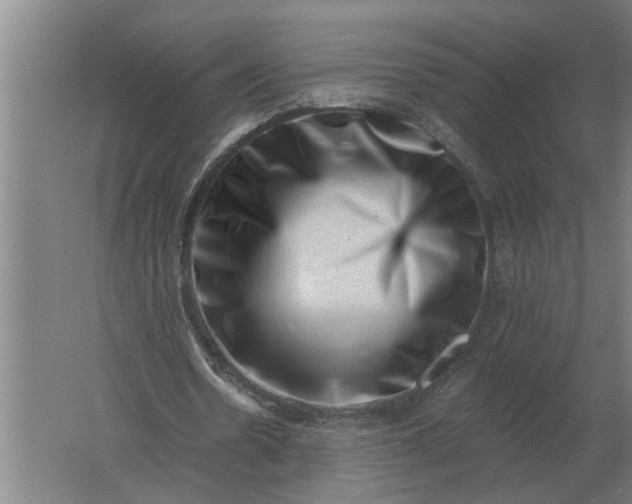 X0000061730530200512161625