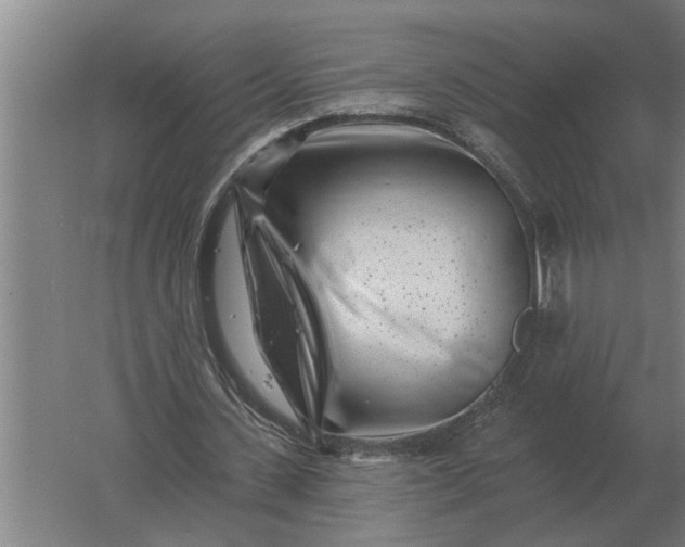 X0000061730531200512161625