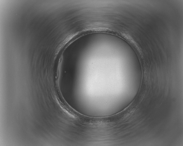 X0000061730533200512161625