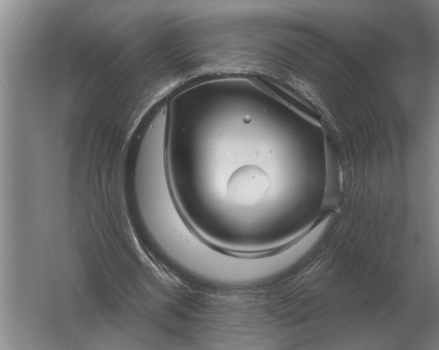 X0000061730534200512161625