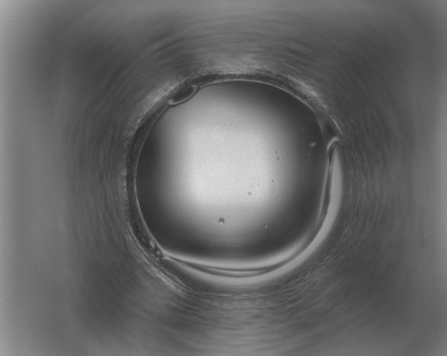 X0000061730535200512161625