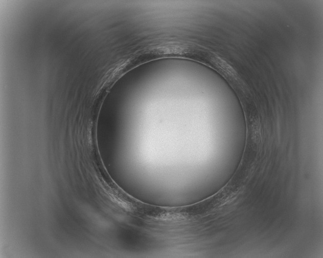 X0000061730537200512161625