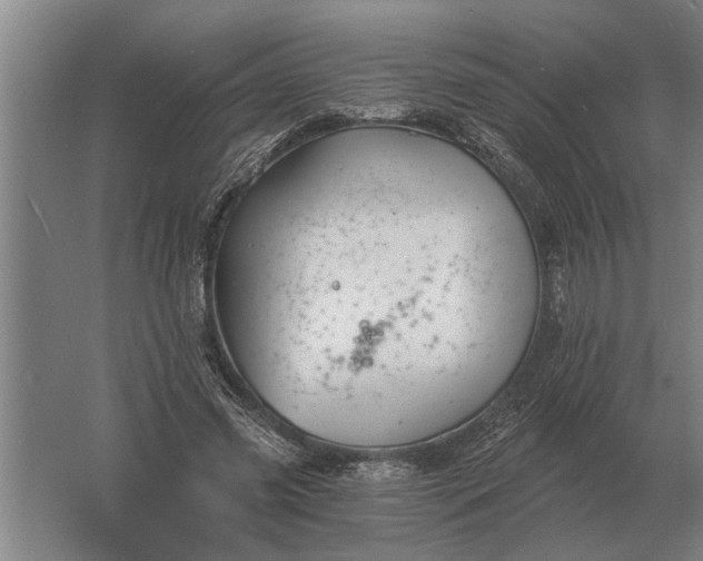 X0000061730541200512161625