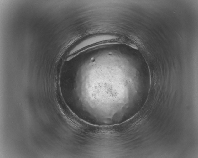 X0000061730542200512161625