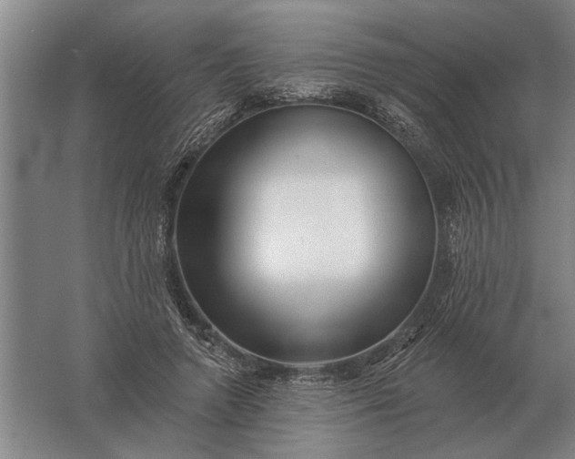 X0000061730546200512161625