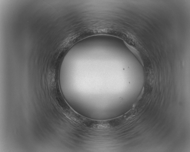 X0000061730548200512161625