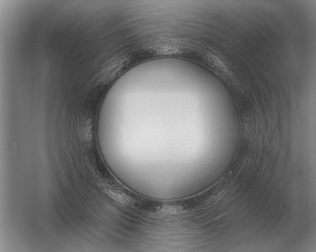 X0000061730549200512161625