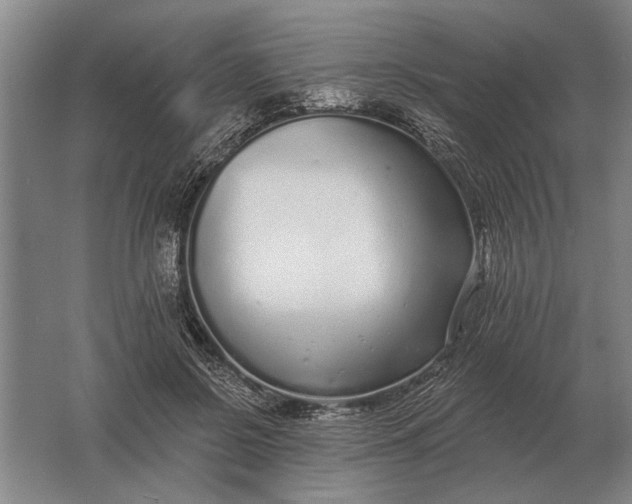 X0000061730550200512161625