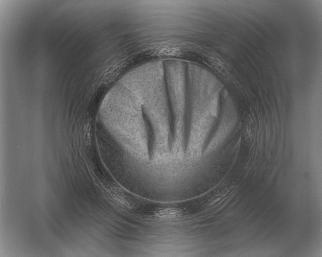 X0000061730551200512161625