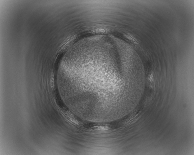 X0000061730552200512161625