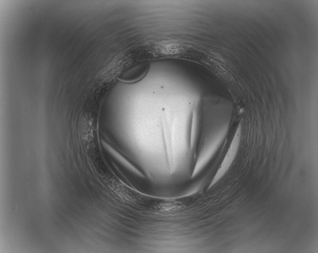 X0000061730555200512161625