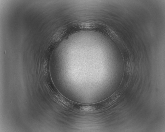 X0000061730557200512161625