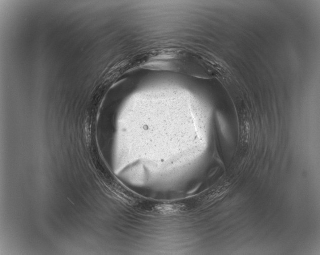 X0000061730558200512161625