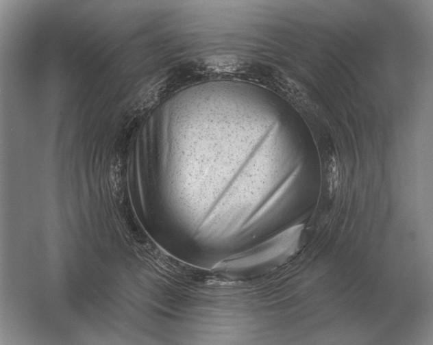 X0000061730559200512161625