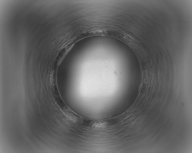 X0000061730560200512161625