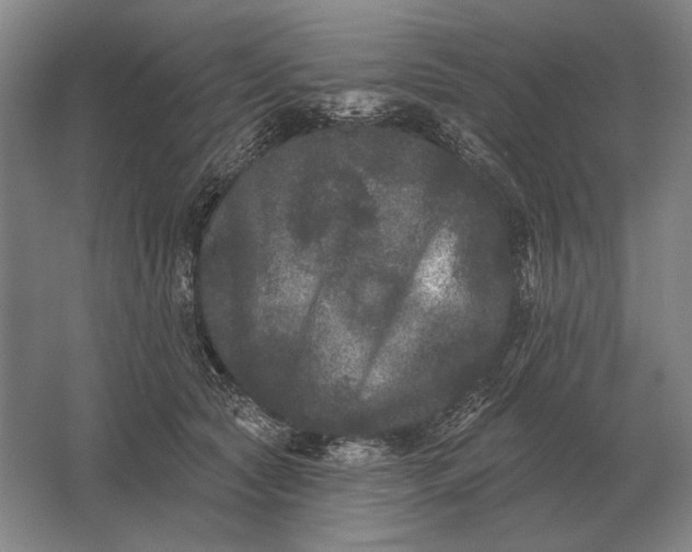 X0000061730561200512161625