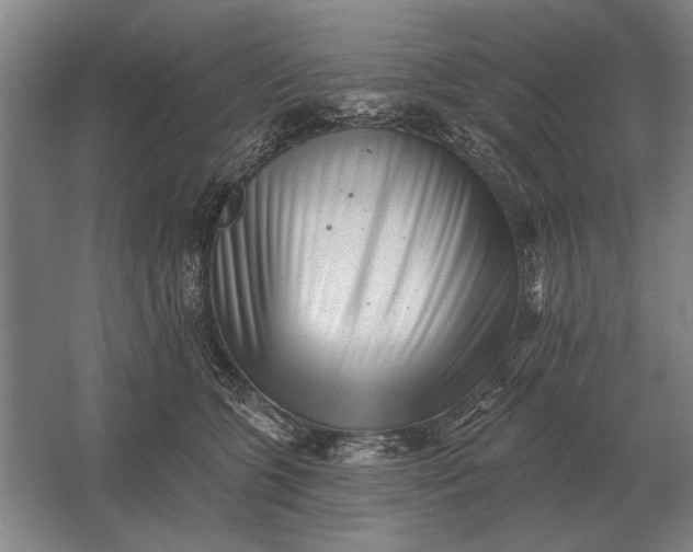 X0000061730563200512161625