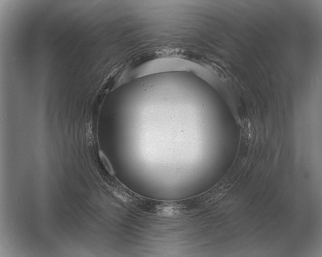 X0000061730564200512161625