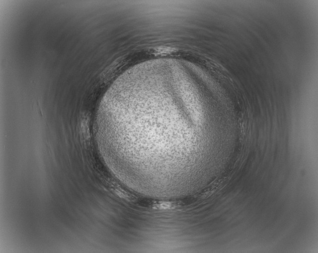 X0000061730565200512161625