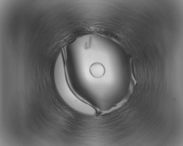 X0000061730566200512161625