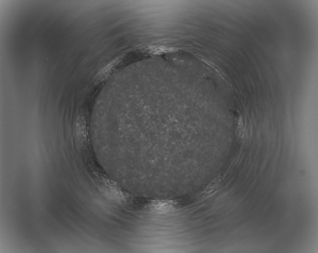 X0000061730569200512161625