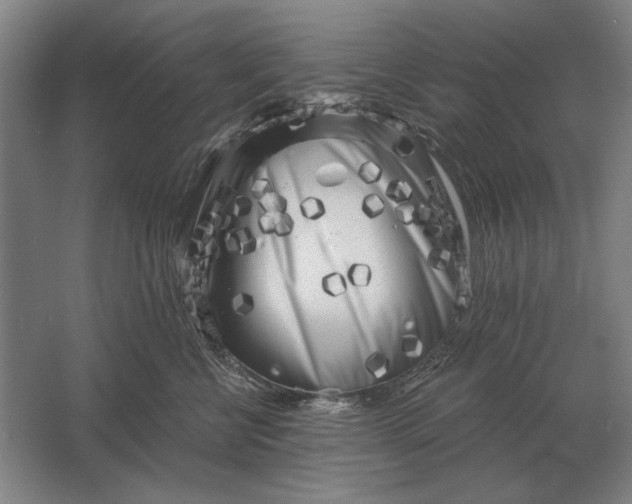 X0000061730570200512161625