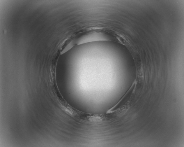 X0000061730572200512161625