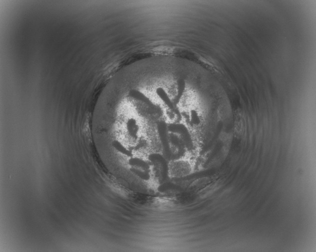 X0000061730573200512161625