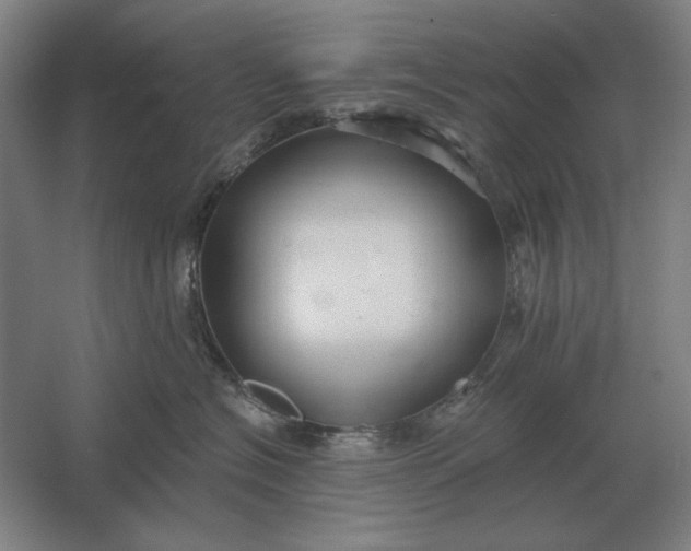 X0000061730574200512161625