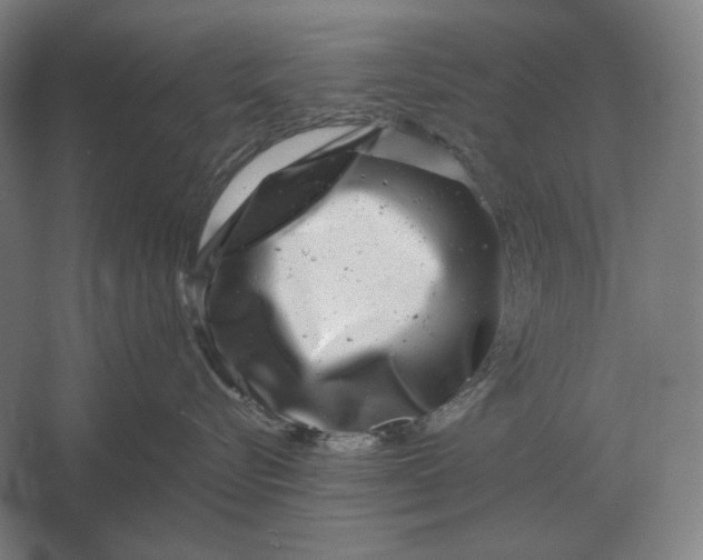 X0000061730576200512161625