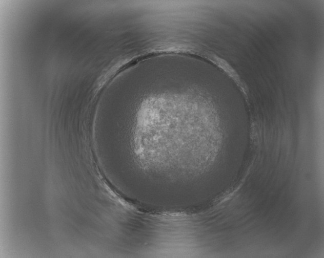 X0000061730577200512161625