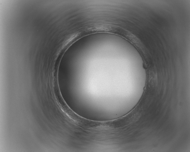 X0000061730578200512161625