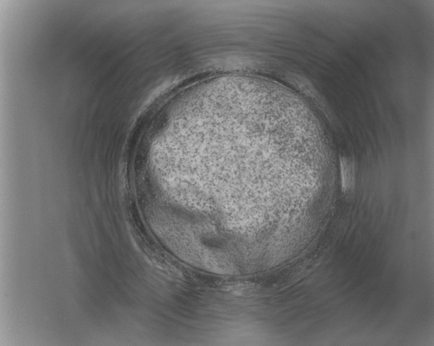 X0000061730579200512161625