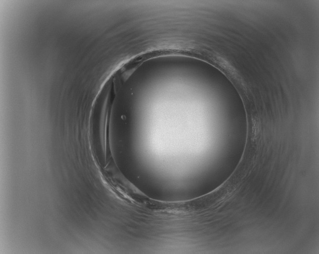 X0000061730580200512161625