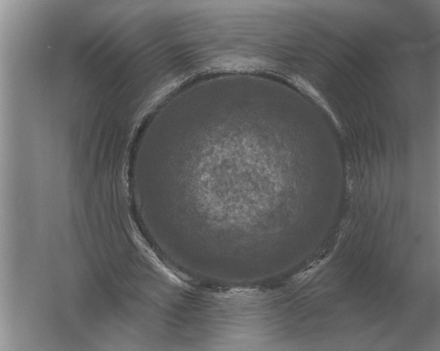 X0000061730581200512161625