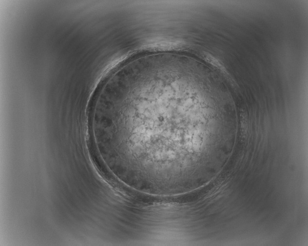 X0000061730582200512161624