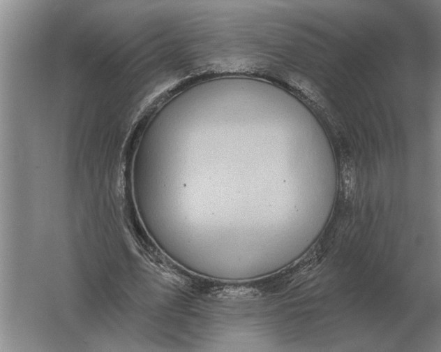 X0000061730583200512161624